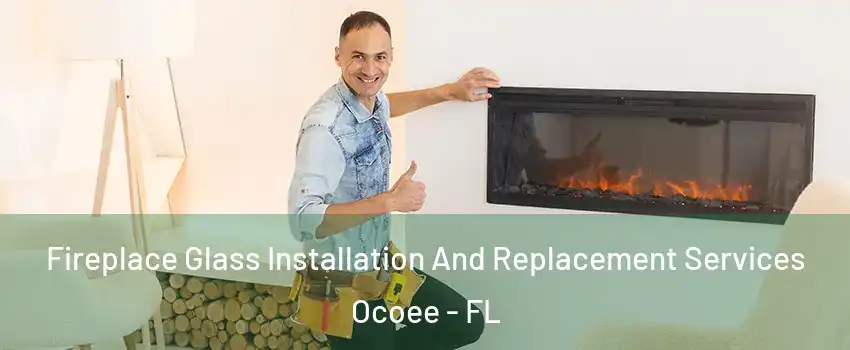  Fireplace Glass Installation And Replacement Services Ocoee - FL
