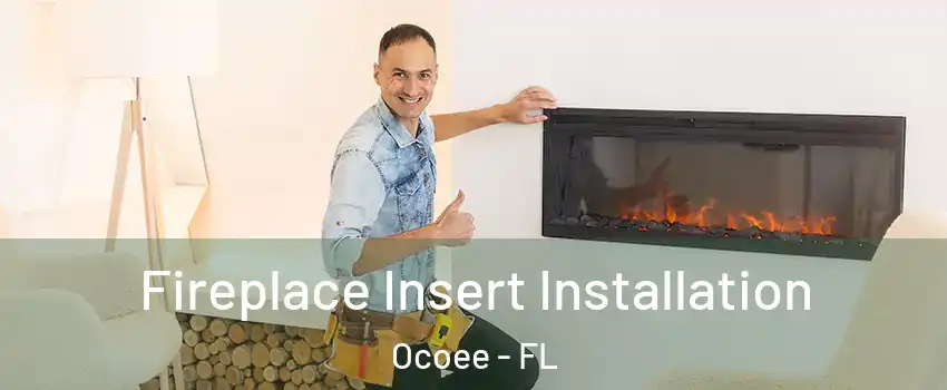  Fireplace Insert Installation Ocoee - FL