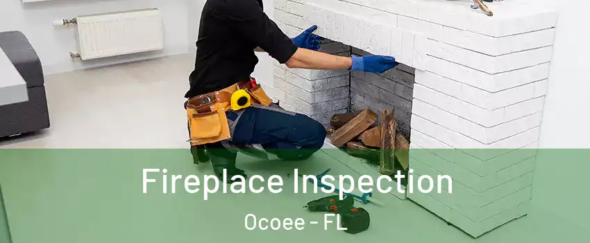 Fireplace Inspection Ocoee - FL