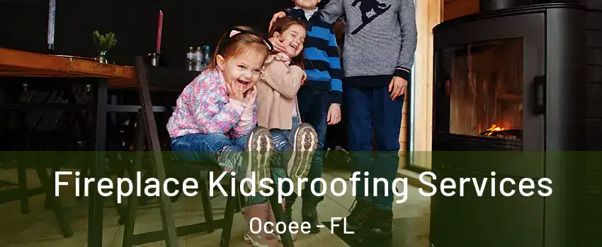  Fireplace Kidsproofing Services Ocoee - FL