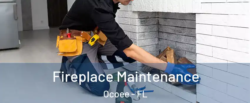  Fireplace Maintenance Ocoee - FL