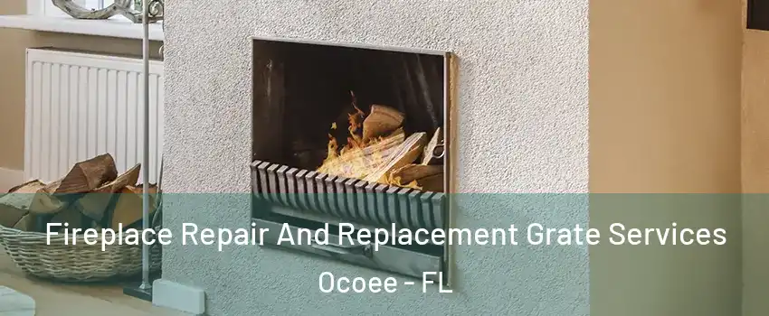  Fireplace Repair And Replacement Grate Services Ocoee - FL