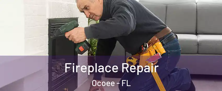  Fireplace Repair Ocoee - FL