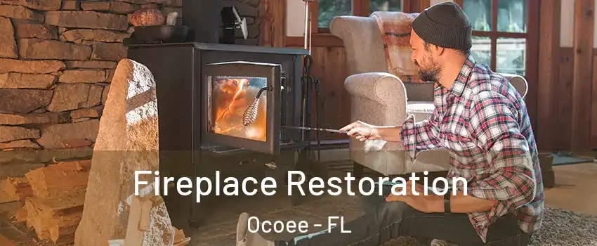  Fireplace Restoration Ocoee - FL