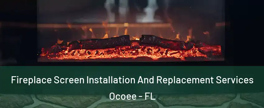 Fireplace Screen Installation And Replacement Services Ocoee - FL