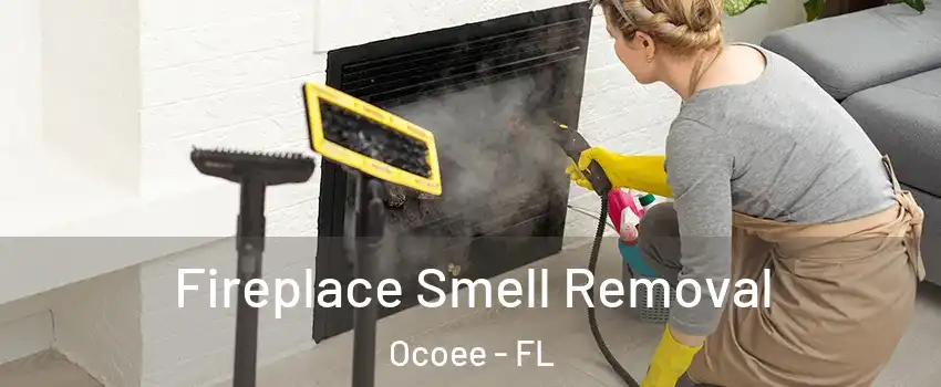  Fireplace Smell Removal Ocoee - FL