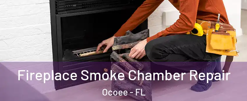  Fireplace Smoke Chamber Repair Ocoee - FL