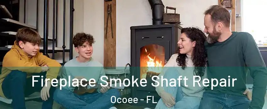  Fireplace Smoke Shaft Repair Ocoee - FL