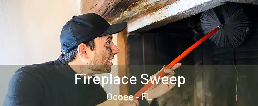  Fireplace Sweep Ocoee - FL