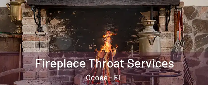  Fireplace Throat Services Ocoee - FL