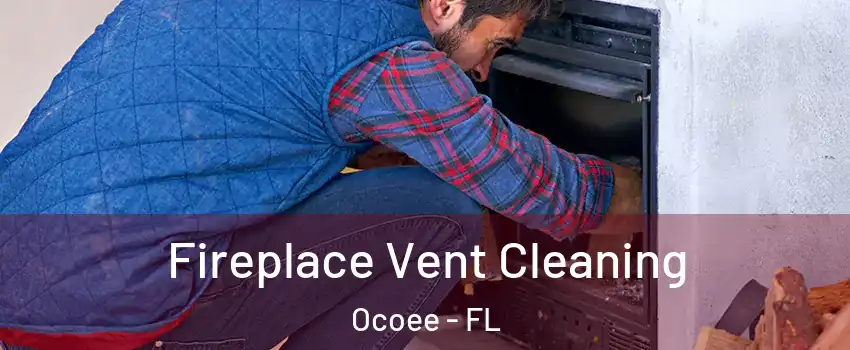  Fireplace Vent Cleaning Ocoee - FL