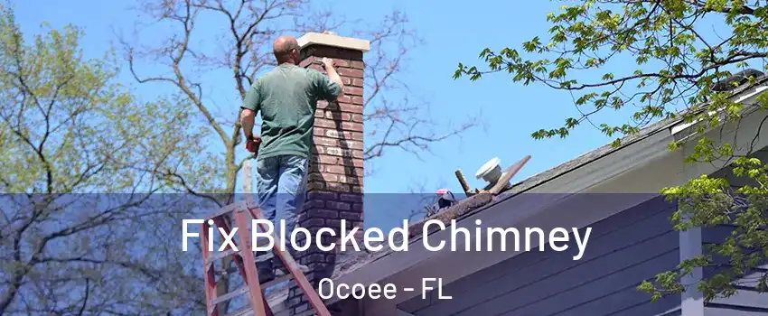  Fix Blocked Chimney Ocoee - FL