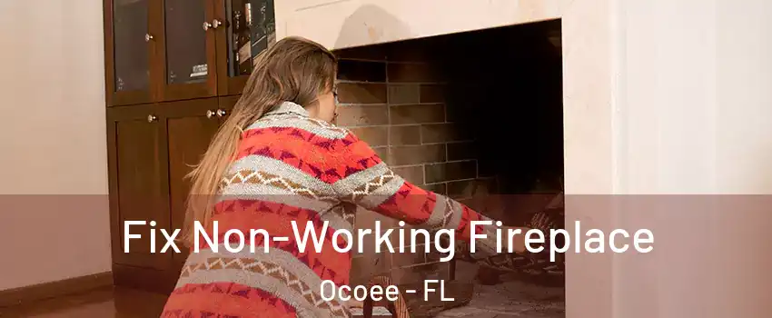  Fix Non-Working Fireplace Ocoee - FL