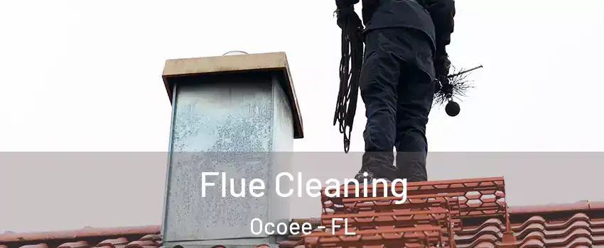  Flue Cleaning Ocoee - FL