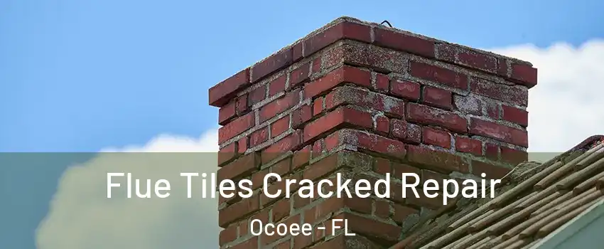  Flue Tiles Cracked Repair Ocoee - FL