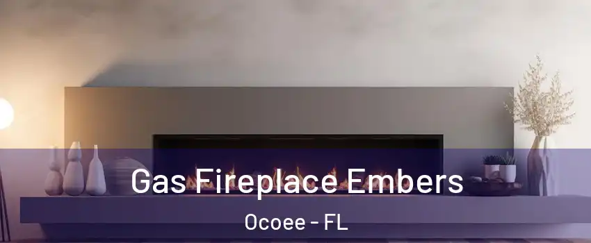  Gas Fireplace Embers Ocoee - FL
