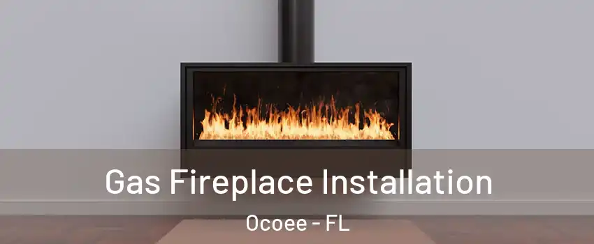  Gas Fireplace Installation Ocoee - FL