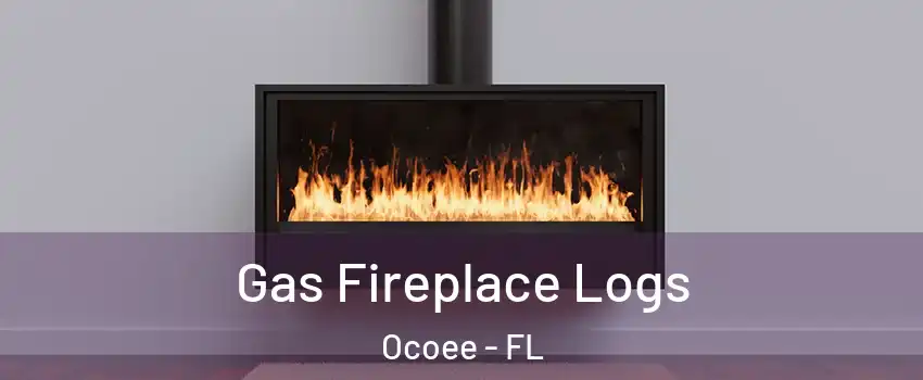  Gas Fireplace Logs Ocoee - FL