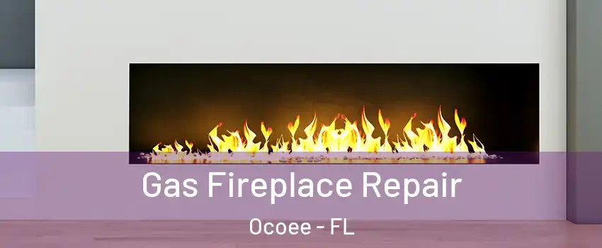  Gas Fireplace Repair Ocoee - FL