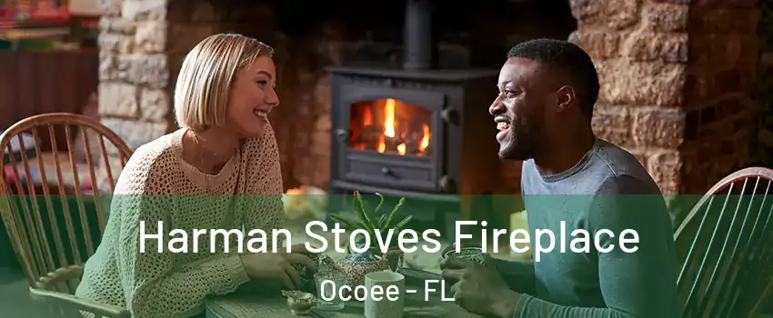  Harman Stoves Fireplace Ocoee - FL