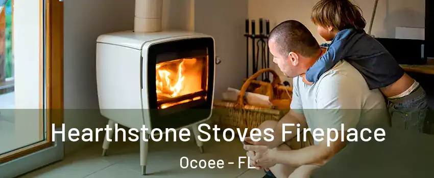  Hearthstone Stoves Fireplace Ocoee - FL