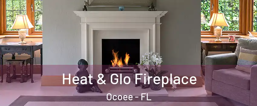  Heat & Glo Fireplace Ocoee - FL