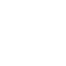 Professional Chimney Flue Installation in Ocoee, Florida