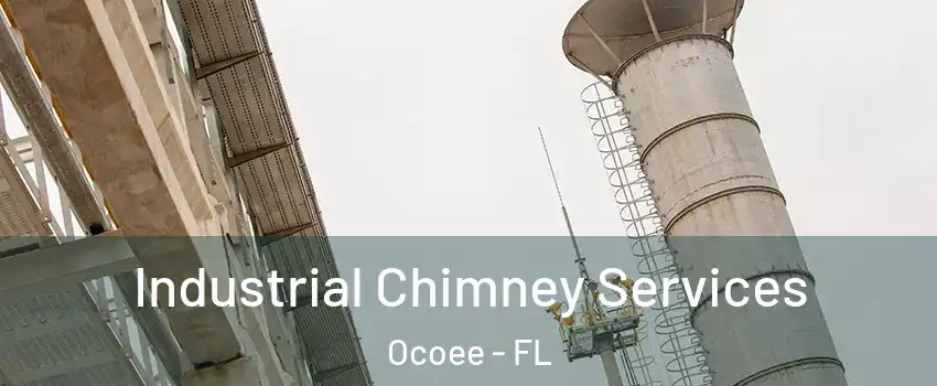  Industrial Chimney Services Ocoee - FL