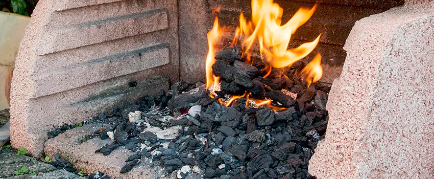 Remove Creosote From Brick in Ocoee, FL