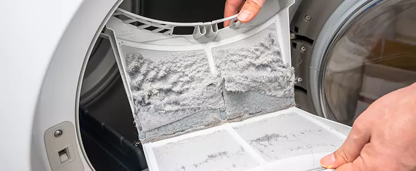 Best Dryer Lint Removal Company in Ocoee, Florida