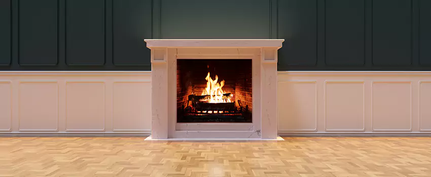 Napoleon Electric Fireplaces Inspection Service in Ocoee, Florida