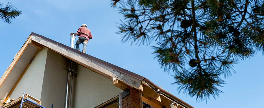 Birds Removal Contractors from Chimney in Ocoee, FL