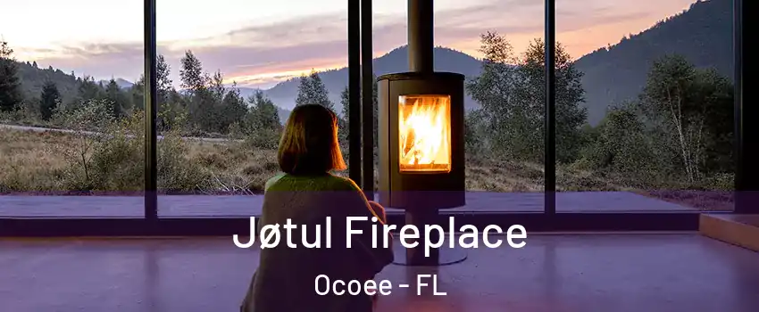  Jøtul Fireplace Ocoee - FL