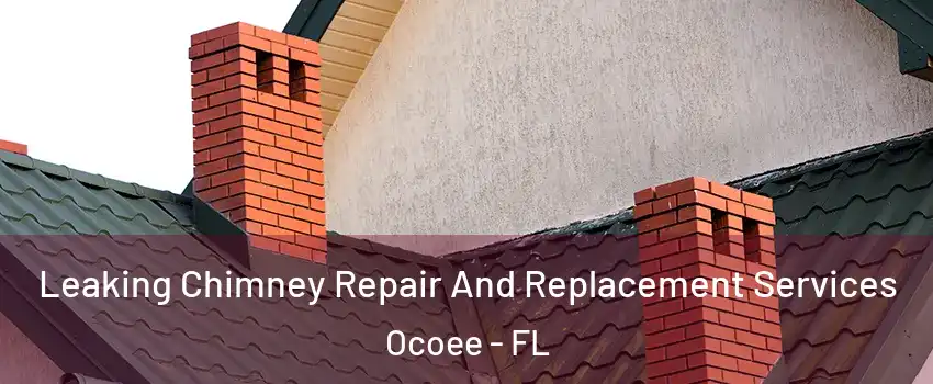  Leaking Chimney Repair And Replacement Services Ocoee - FL