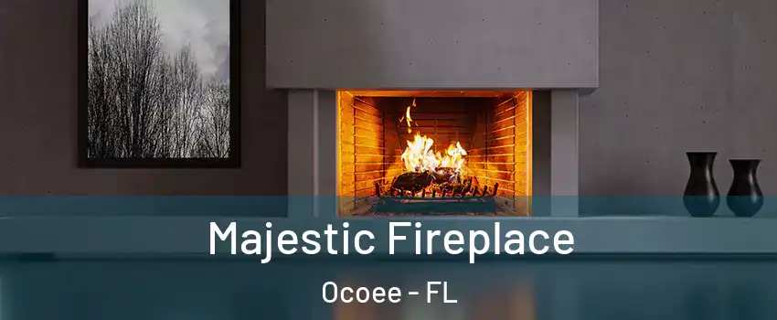  Majestic Fireplace Ocoee - FL