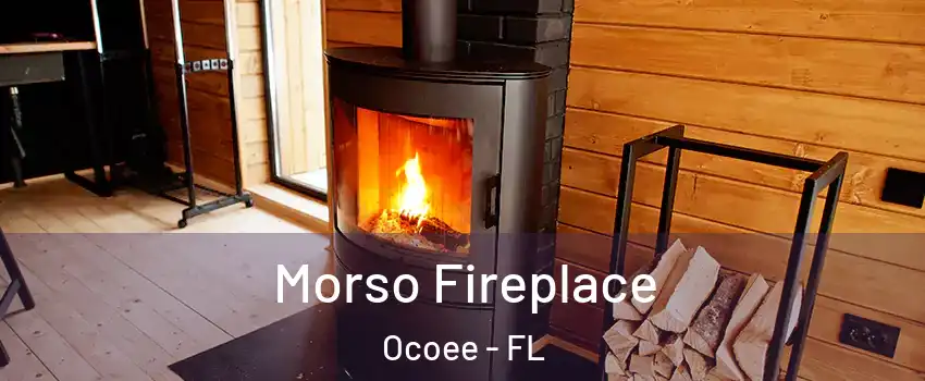  Morso Fireplace Ocoee - FL