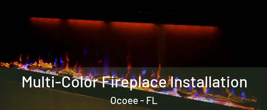  Multi-Color Fireplace Installation Ocoee - FL