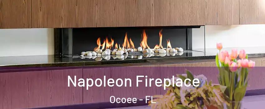  Napoleon Fireplace Ocoee - FL