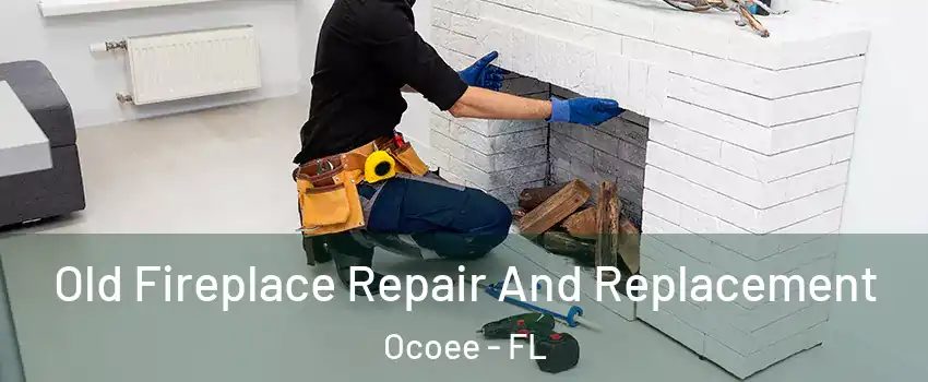  Old Fireplace Repair And Replacement Ocoee - FL