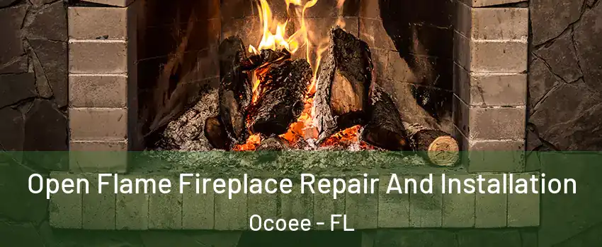  Open Flame Fireplace Repair And Installation Ocoee - FL