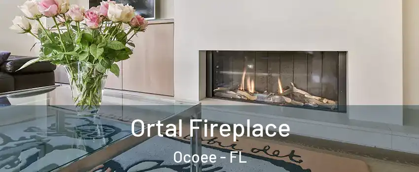  Ortal Fireplace Ocoee - FL