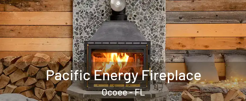  Pacific Energy Fireplace Ocoee - FL