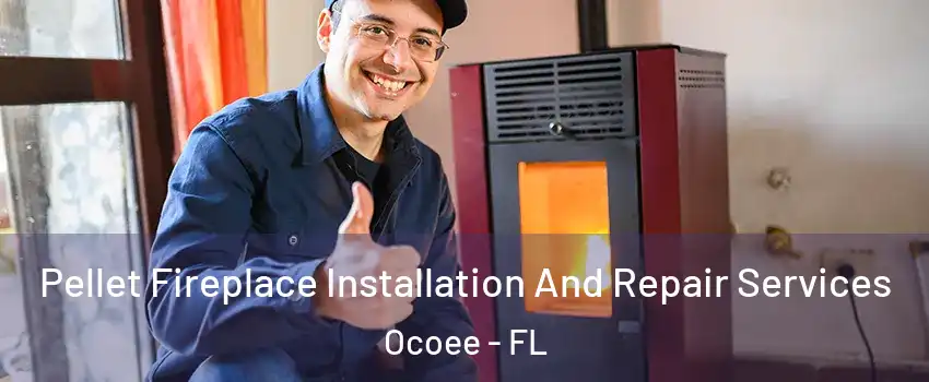  Pellet Fireplace Installation And Repair Services Ocoee - FL