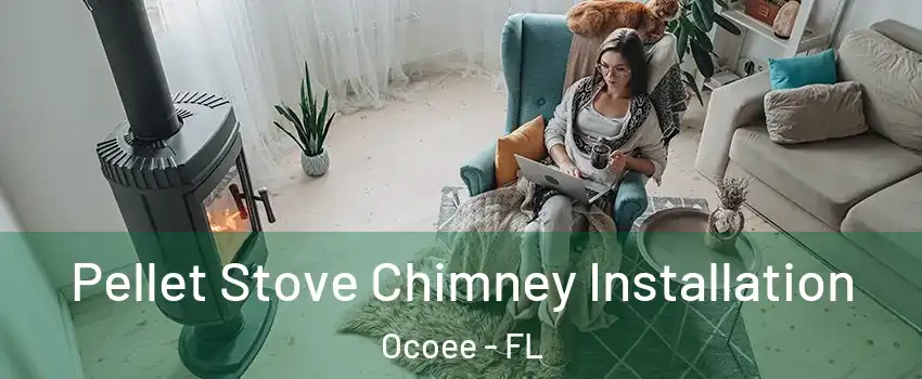  Pellet Stove Chimney Installation Ocoee - FL