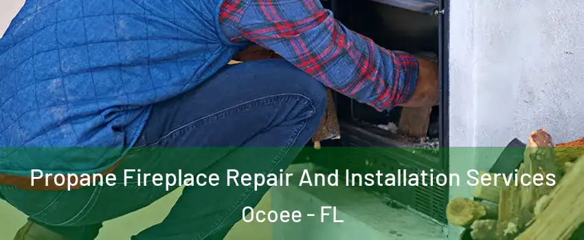  Propane Fireplace Repair And Installation Services Ocoee - FL