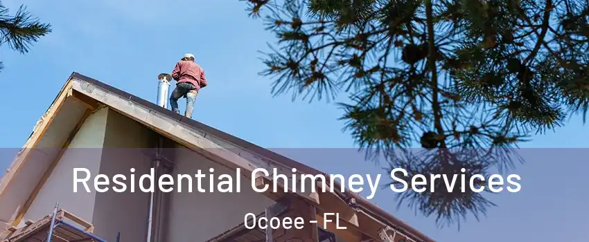 Residential Chimney Services Ocoee - FL