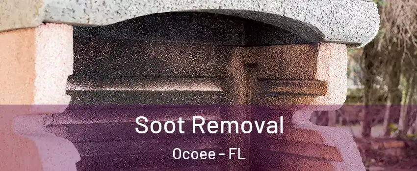  Soot Removal Ocoee - FL