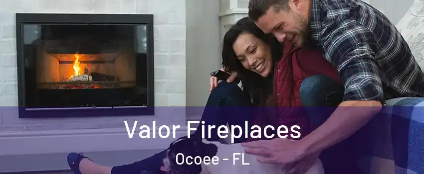  Valor Fireplaces Ocoee - FL
