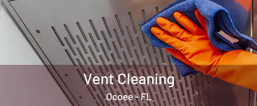  Vent Cleaning Ocoee - FL