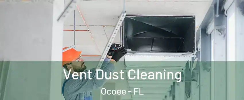  Vent Dust Cleaning Ocoee - FL